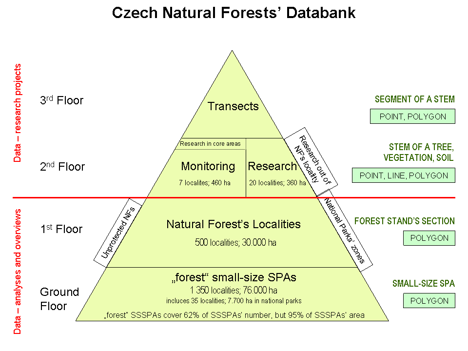 Databanka přirozených lesů - pyramida dat